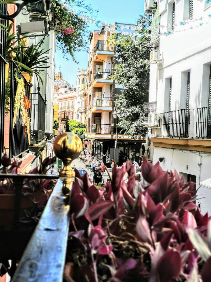 Casa Alfalfa 2 Dormitorios Terraza Y Solarium Privado Seville Exterior photo